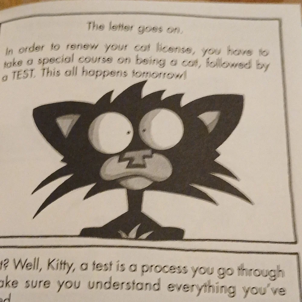 Bad Kitty Book Graphic Novel Takes the Test Nick Bruel 2017